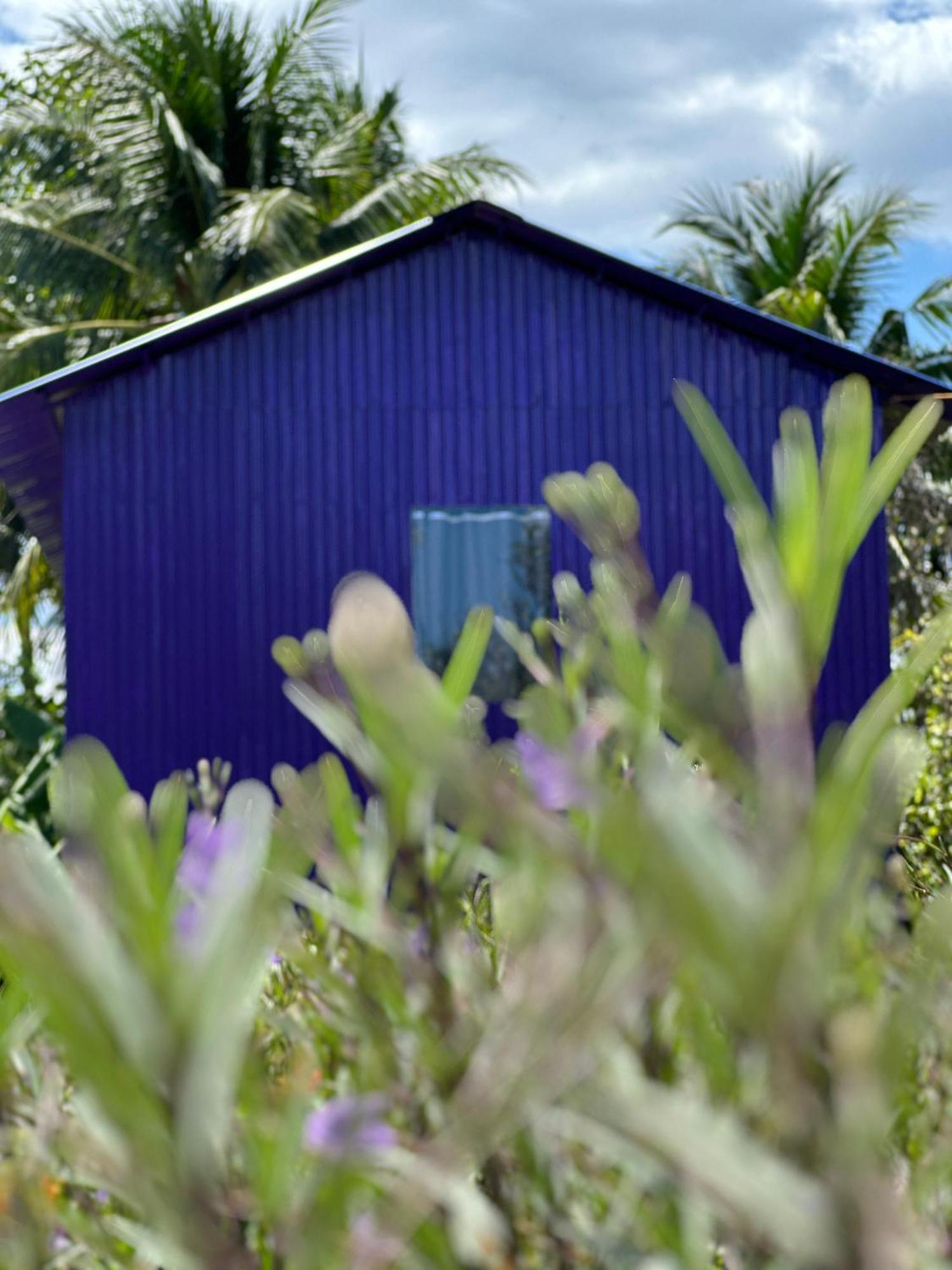 Hide Away Bungalows In Ben Tre City Extérieur photo